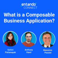 Entando_What is a Composable Business Application__Video